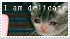 'I am delicate' over an image of a crying cat
